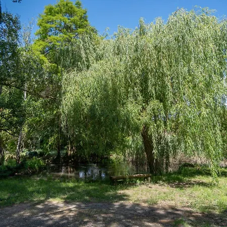 L'ilot Feng Shui - Jardin & 400m De La Cite Apartment Carcassonne